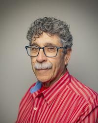Martin P Levinson