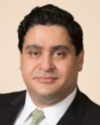 Anas M Sarhan