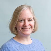 Diana Alison Palmer