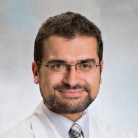 Mohamed A El-Dib