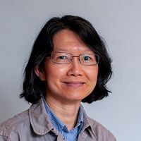 Mai P Hoang