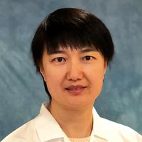 Xuefei Hong