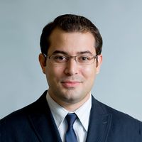 Alexander G Marneros