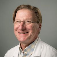 Mark Novotny