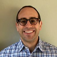 Daniel J Stein