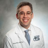 Andrew M Stern