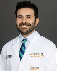 Juan David Gomez Cifuentes