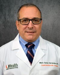 Mario Michel Gomez Hernandez